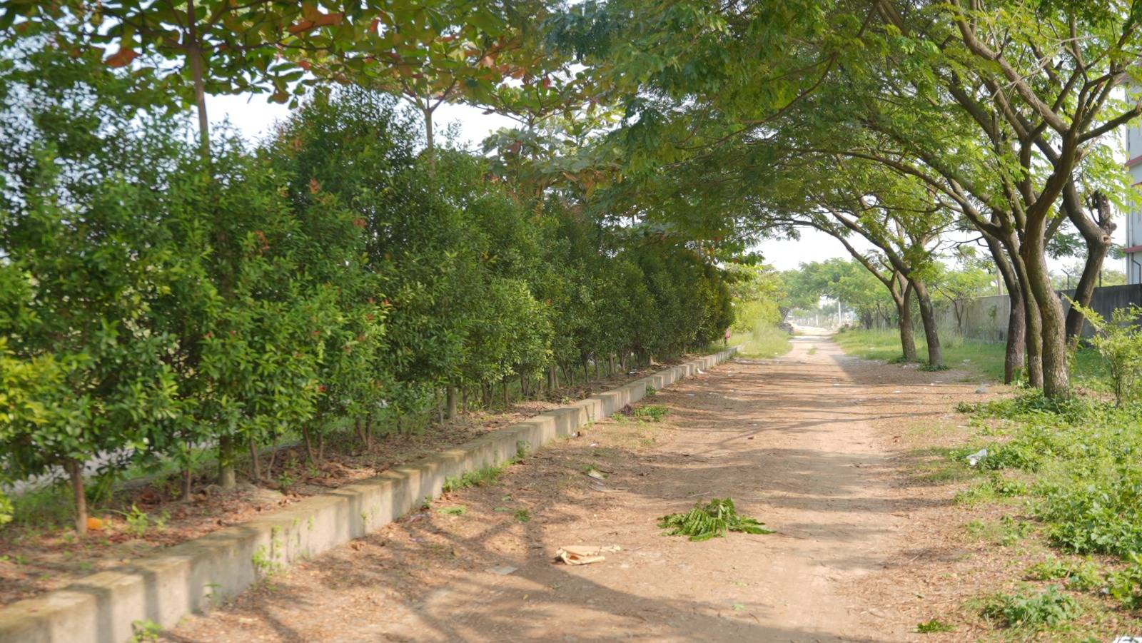 WhatsApp Image 2025-11-17 at 5.01.59 PM (1)