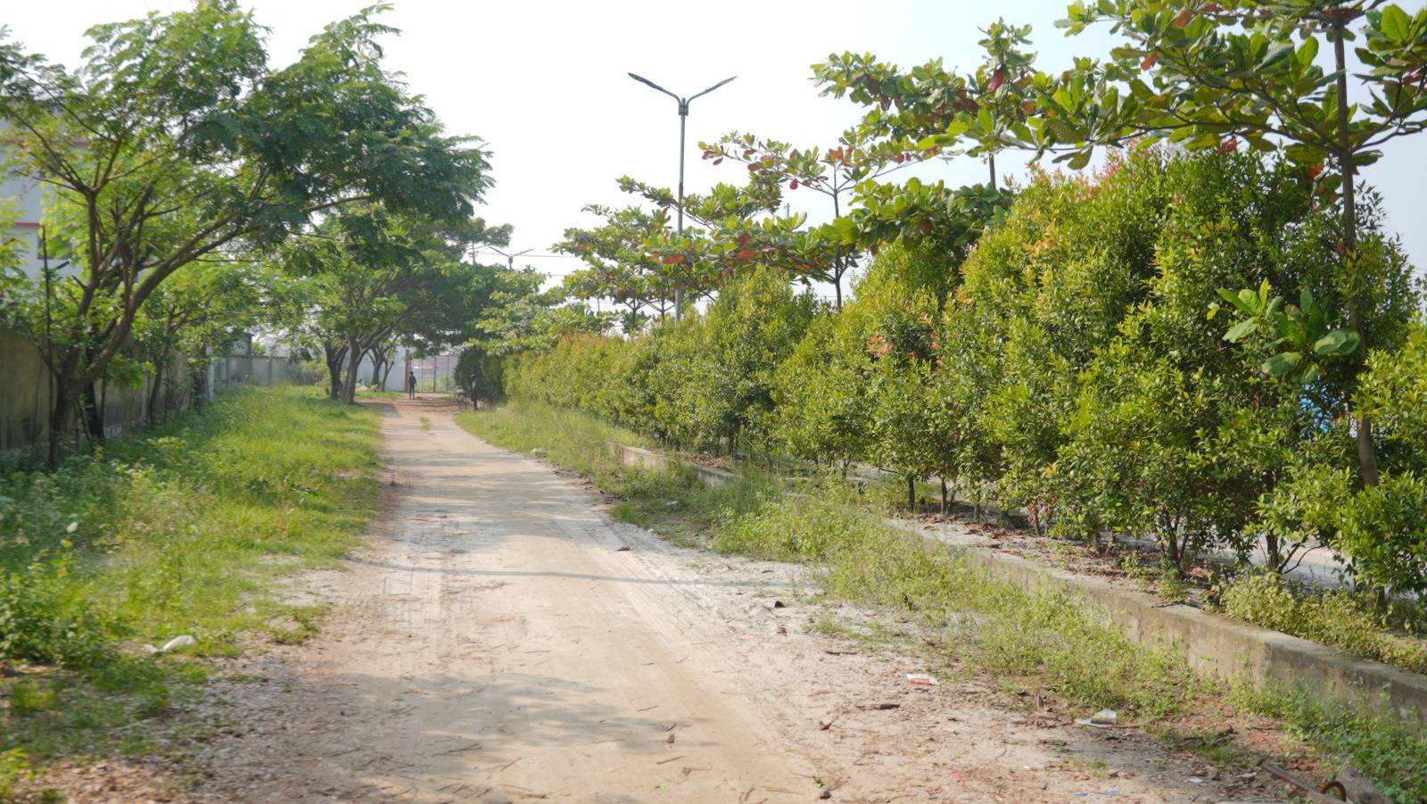 WhatsApp Image 2025-11-17 at 5.01.59 PM